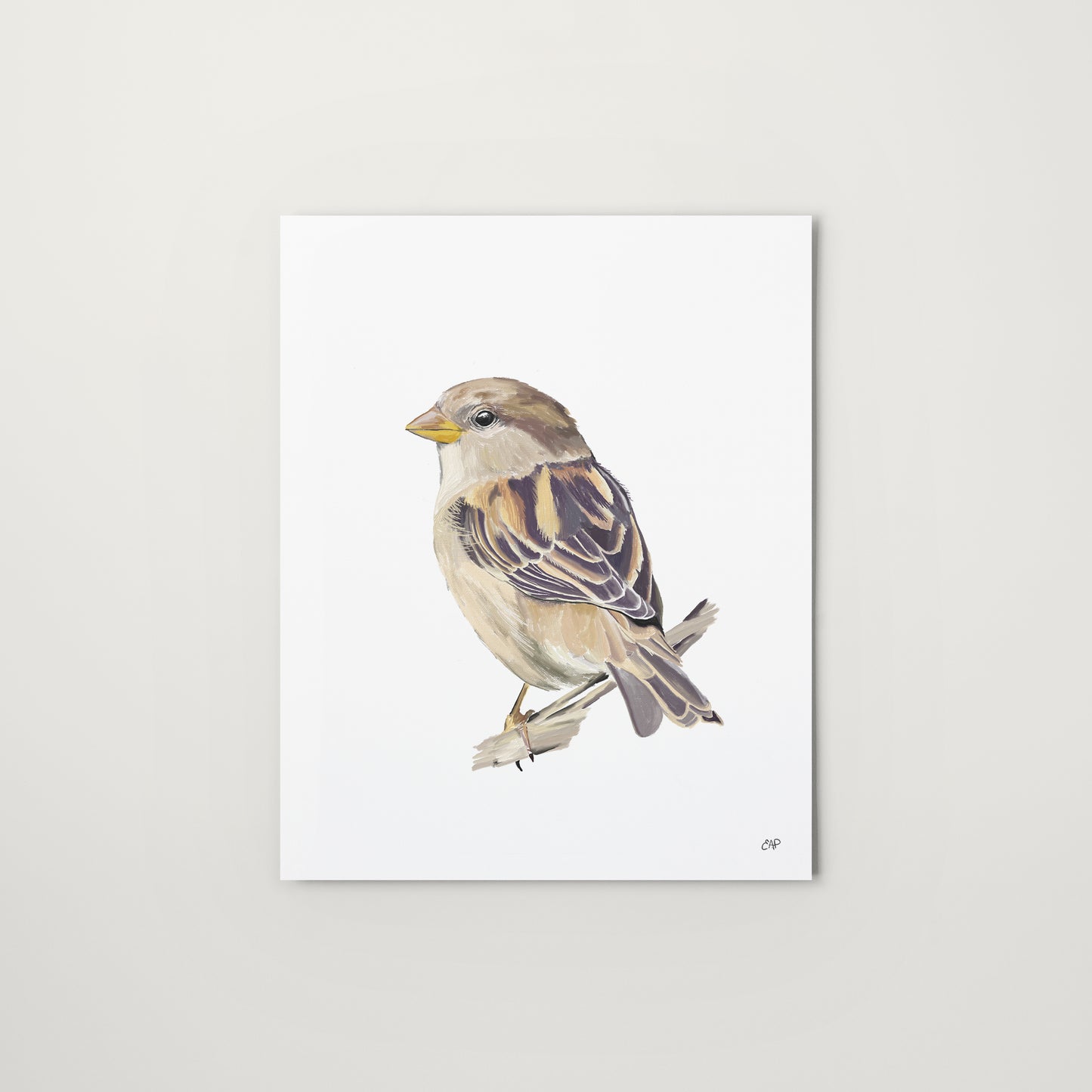 Graceful Perch