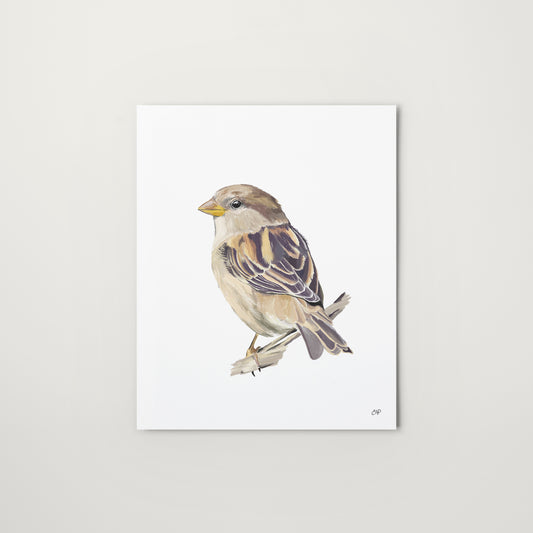 Graceful Perch