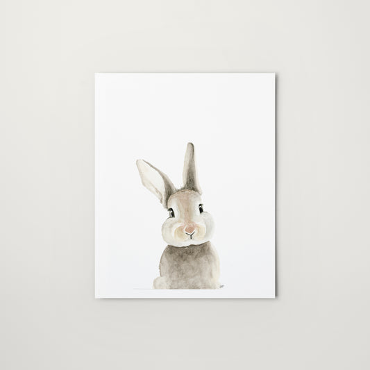 Bunny